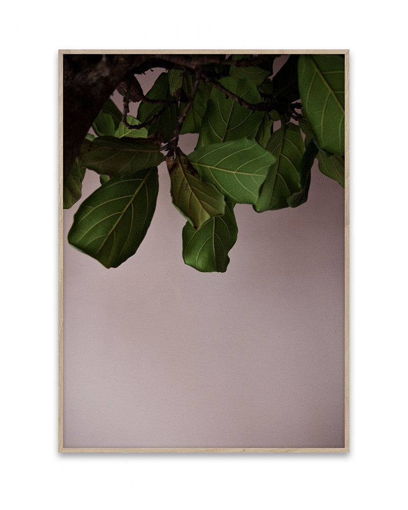 Print Poster | Green Leaves - 50x70cm