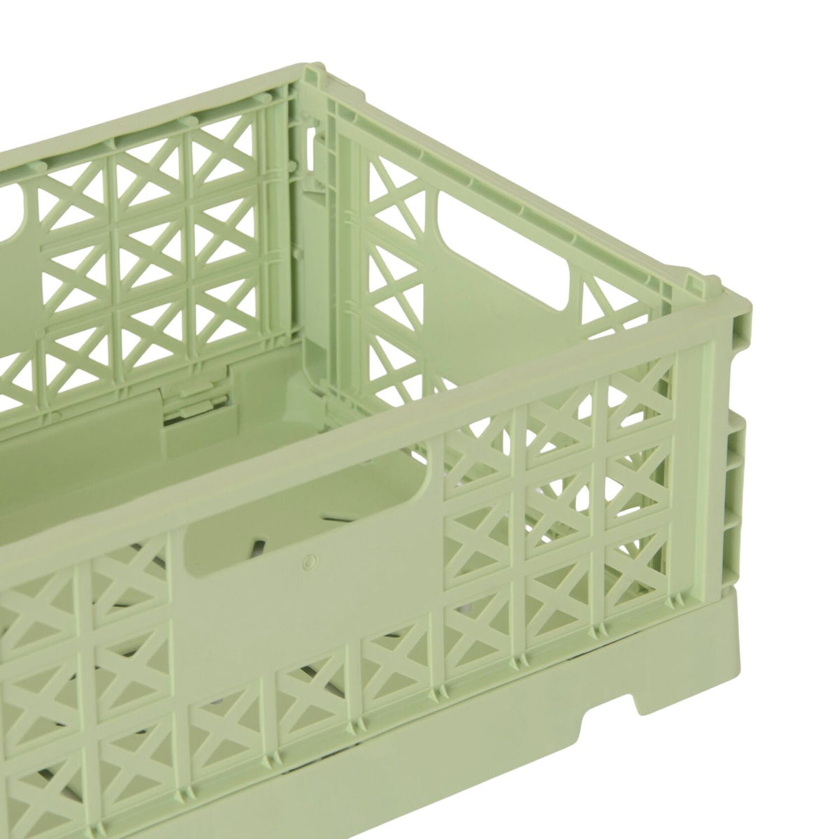 Klappbox Superior Midi | Lime Cream