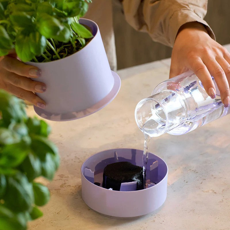 Kräutertopf Billund Self Watering Pot | Blueberry