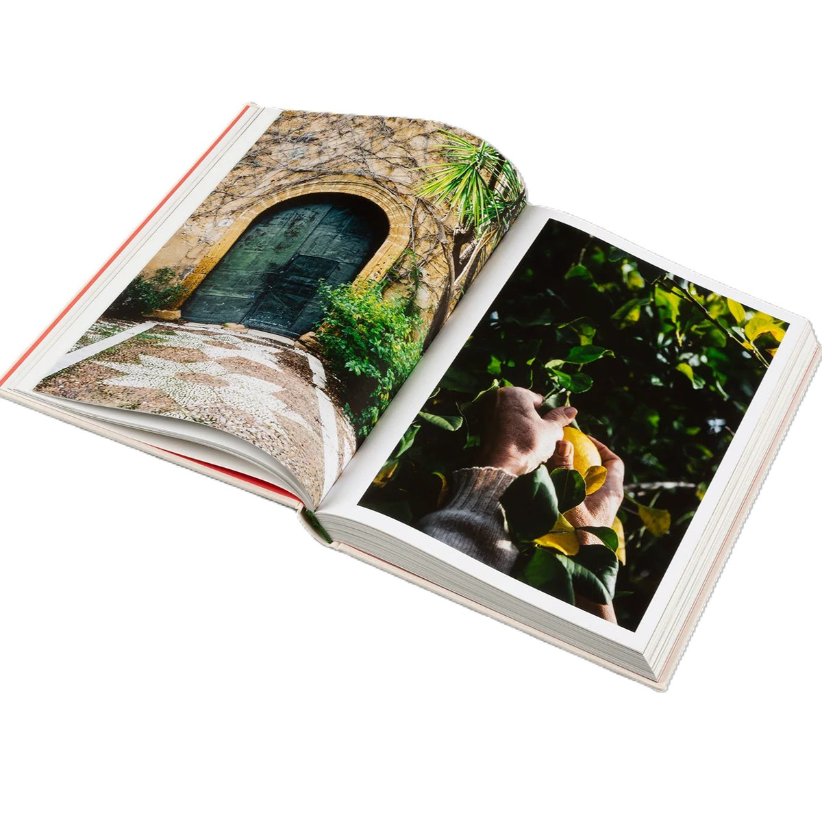 Kochbuch | Originale