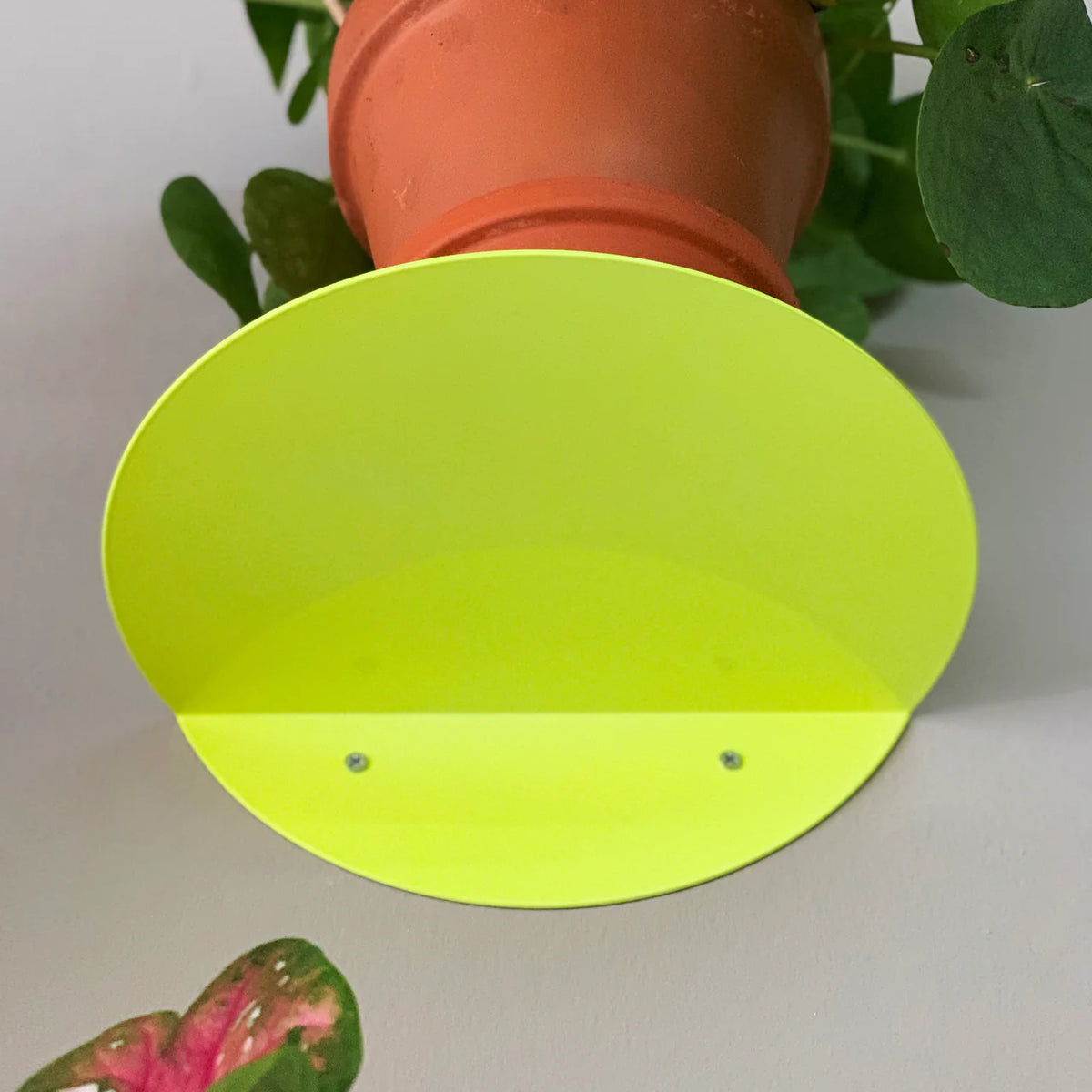 Kolor Wandregal Dot in Neon Gelb bei Frau Rabe im Concept Store Die Halle