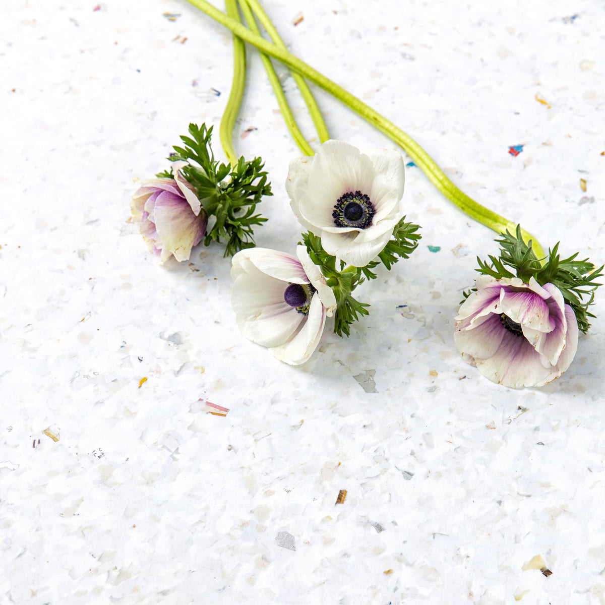 Schreibtisch New Modern | Pale Blue