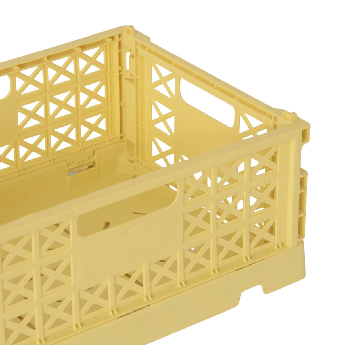 Klappbox Superior Midi | Lemon Nemesia