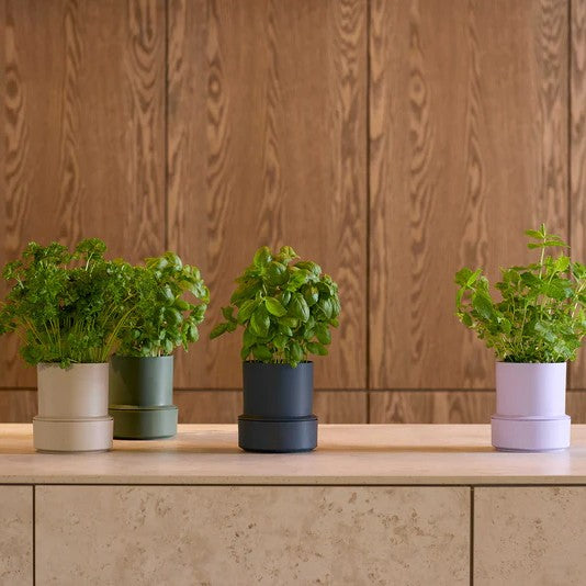 Kräutertopf Billund Self Watering Pot | Cumin