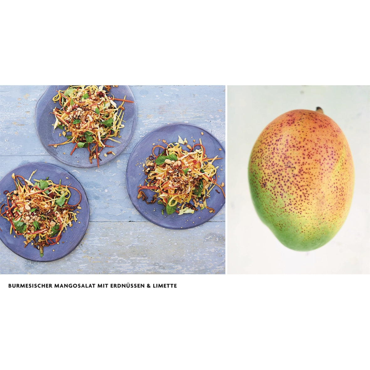 Kochbuch | Asien vegetarisch