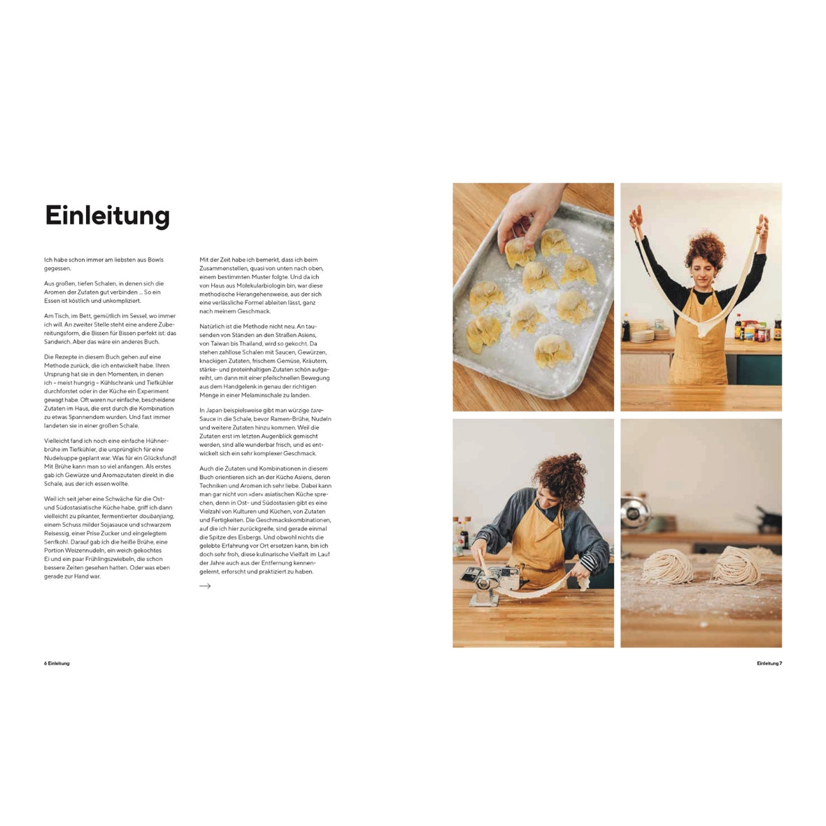 Kochbuch | Ramen, Bowls und Dumplings