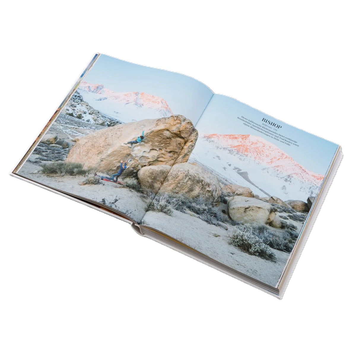 Buch | Cliffhanger