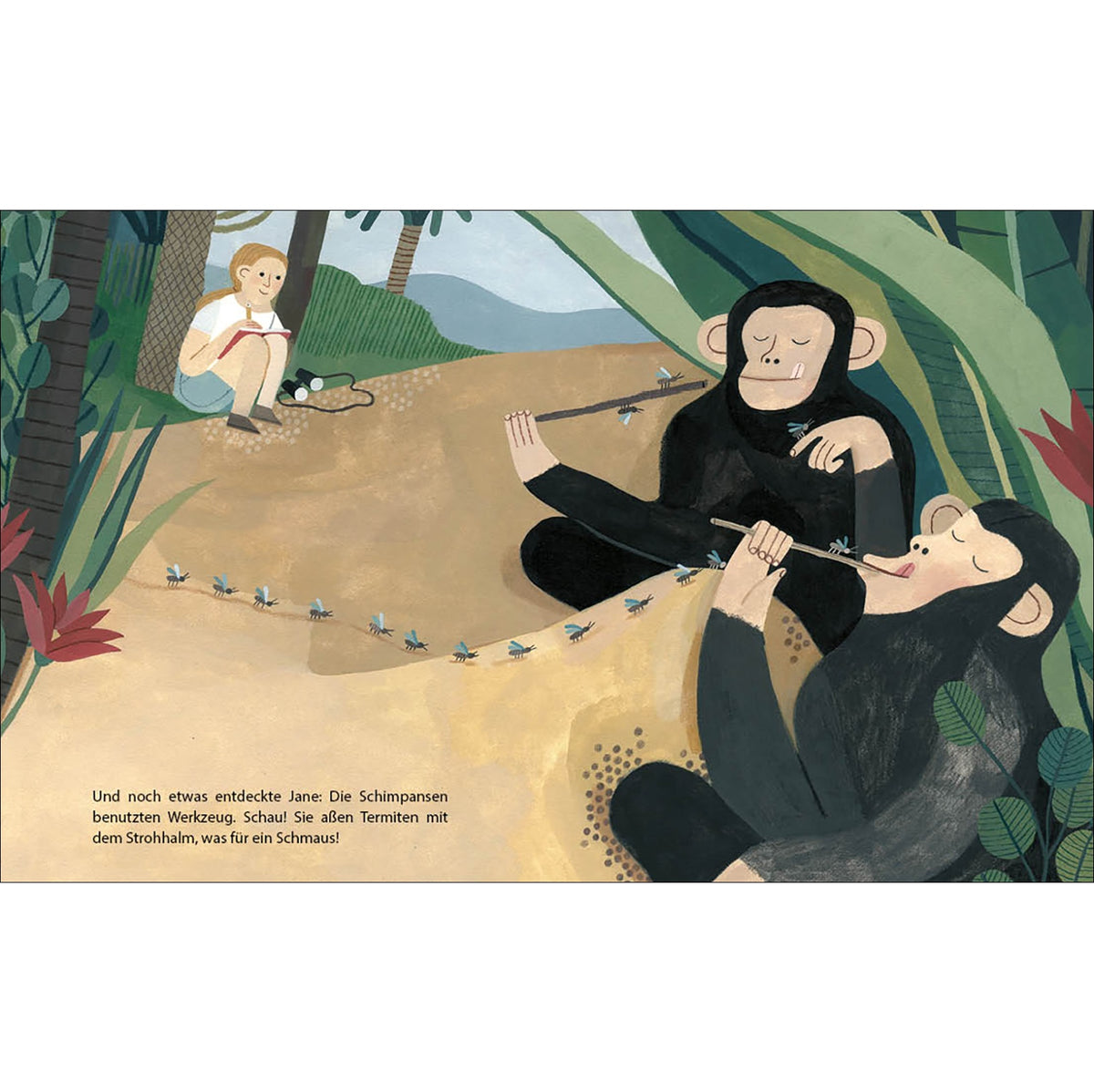 Buch Little People, BIG DREAMS | Jane Goodall