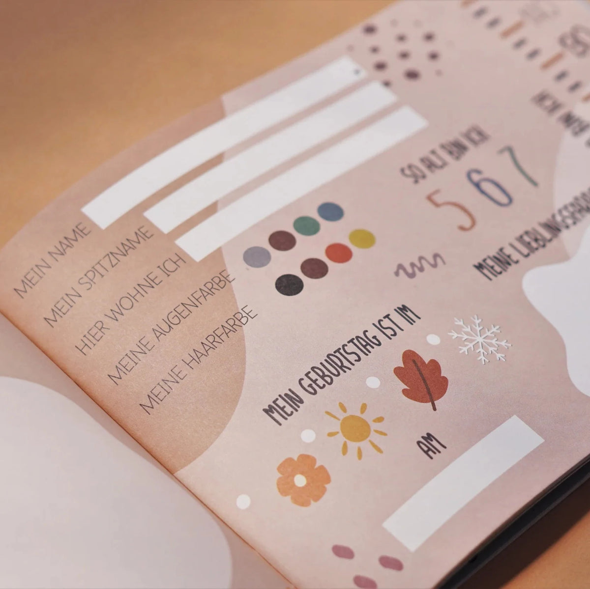 Erinnerungsalbum | Einschulung "Regenbogen"